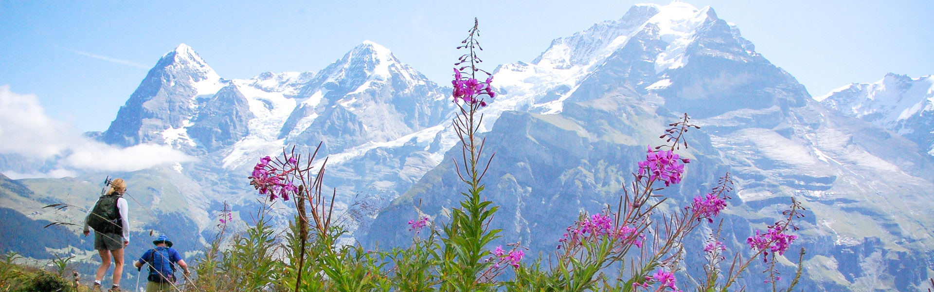 Alpinehikers | Alpinehikers Hiking Tours In Switzerland