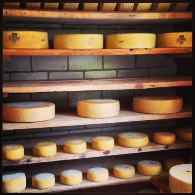 traditional alpine cheese-making at Obersteinberg, Switzerland