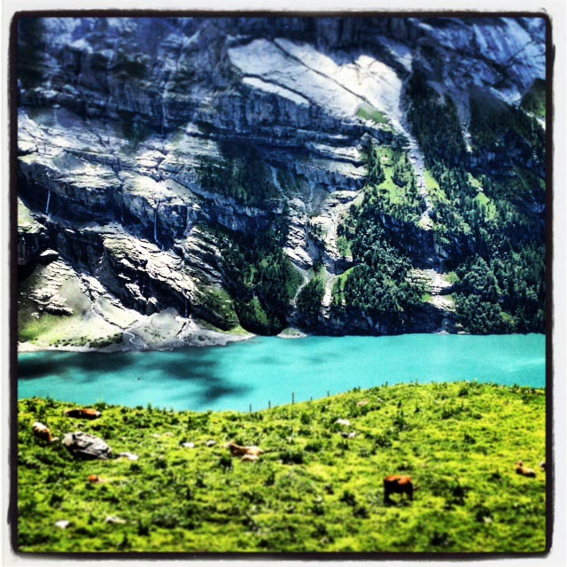 alpine hiking trail with cows and lake above Kandersteg, Switzerland