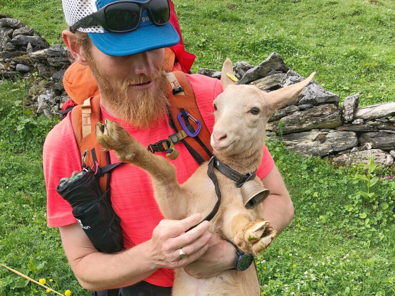 Alpinehikers guide in the Alps hiking with a goat
