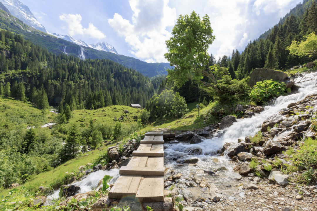 Hiking to Obersteinberg - AlpinehikersAlpinehikers