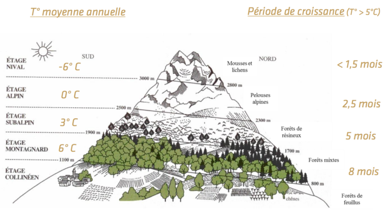 Climate change is changing the growing season length and conditions in the Alps. 